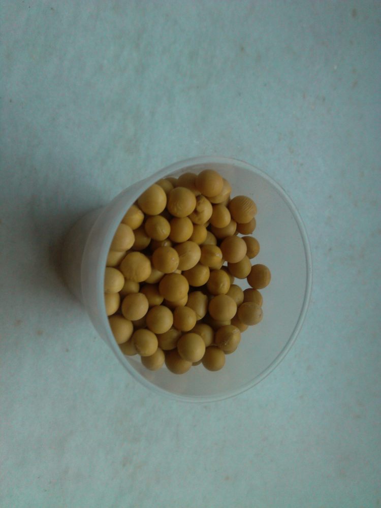 梨豆浆步骤1