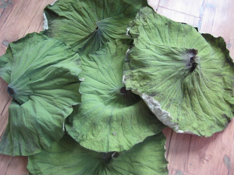 解暑荷叶粥步骤1