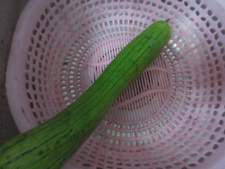 丝瓜木耳步骤2