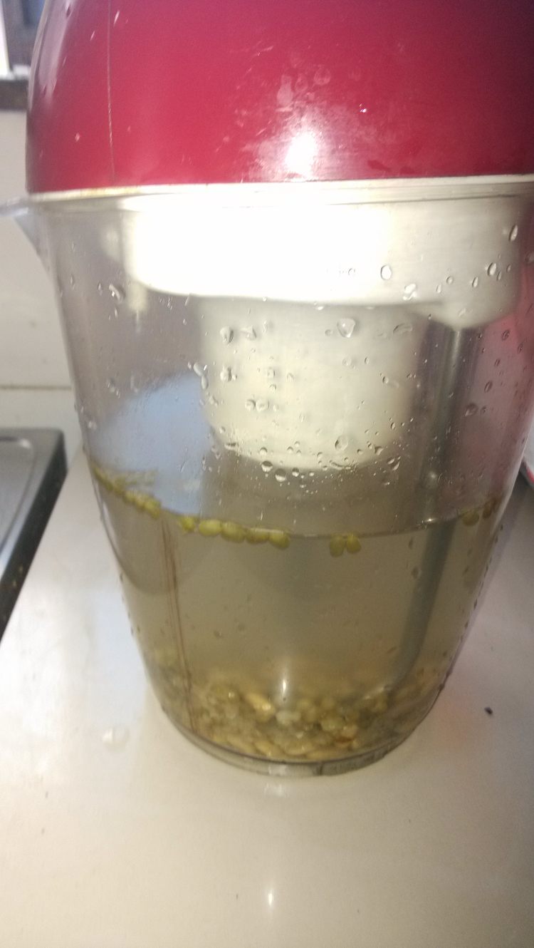 绿豆黄豆浆步骤5