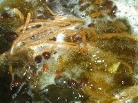 茶树菇丝瓜肉片汤步骤14