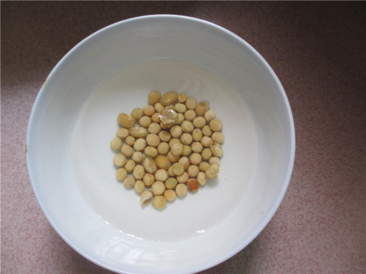 冬瓜黄豆龙骨汤步骤2