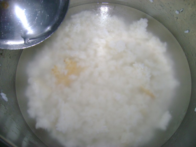 鲜虾冬瓜粥步骤4