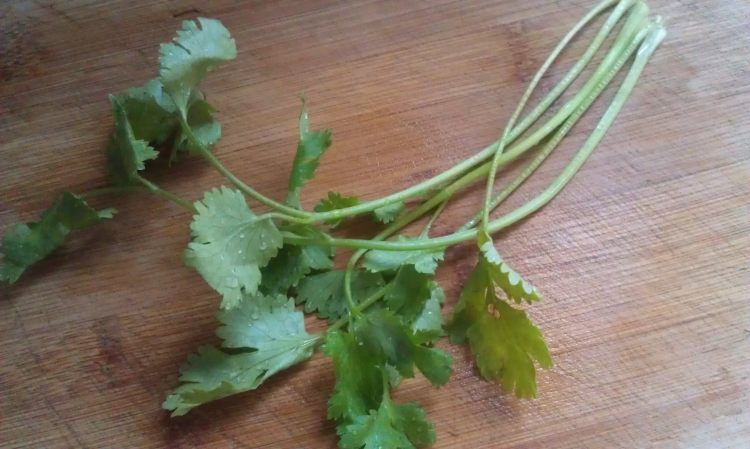 香菜拌猪皮步骤10