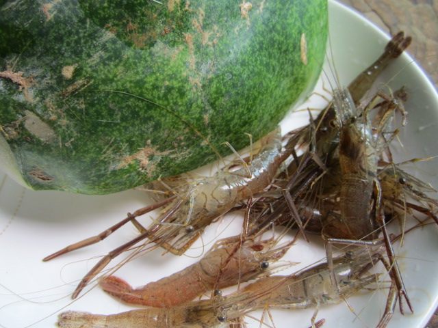 冬之恋步骤1
