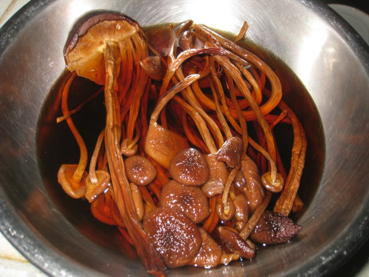 无花果茶树菇鸡汤步骤3
