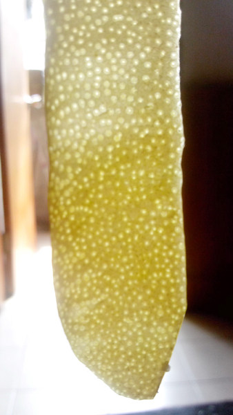 枸杞蜂蜜柚子茶步骤2