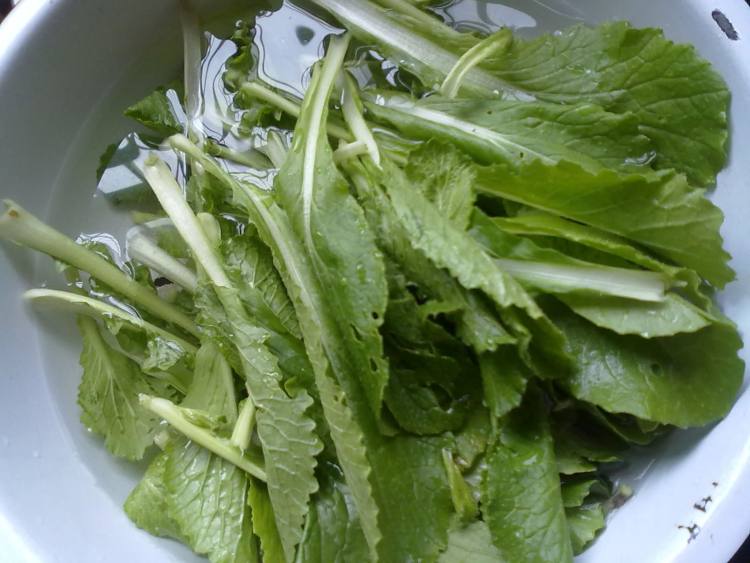 小白菜菜豆腐步骤2