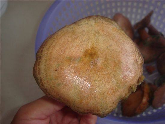 野山菌炖豆腐步骤1