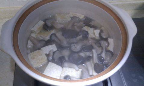 芋头蘑菇豆腐汤步骤6