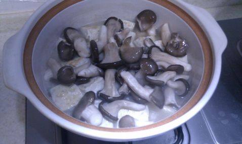 芋头蘑菇豆腐汤步骤5