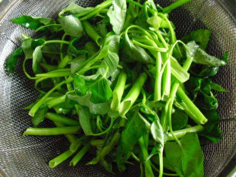 泼油空心菜步骤1