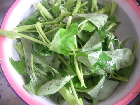 蒜拌空心菜步骤1