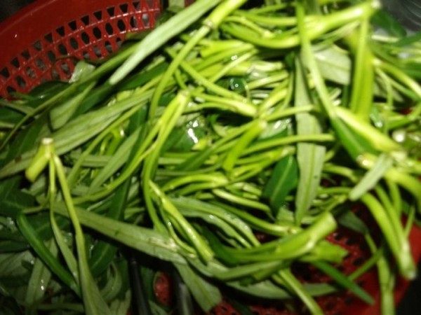 空心菜肉片汤步骤1