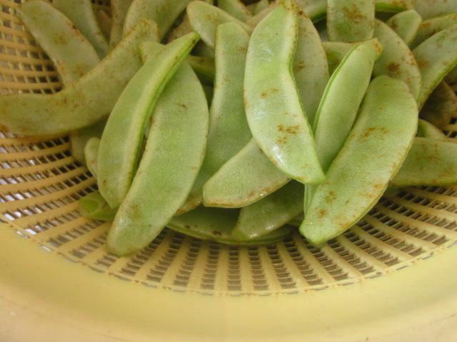 白菜扁豆合欢菜步骤2