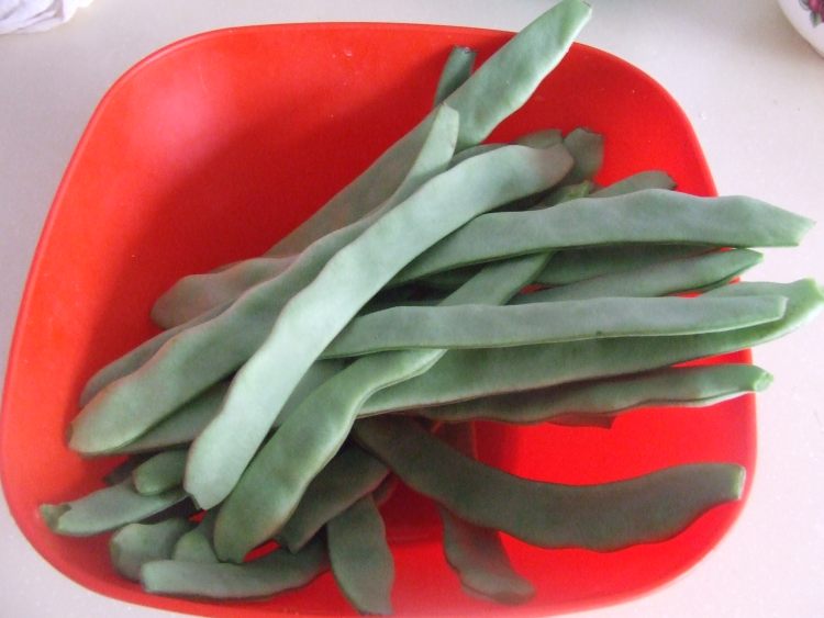 排骨炖豆角步骤6