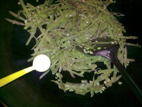 小炒扁豆丝步骤5