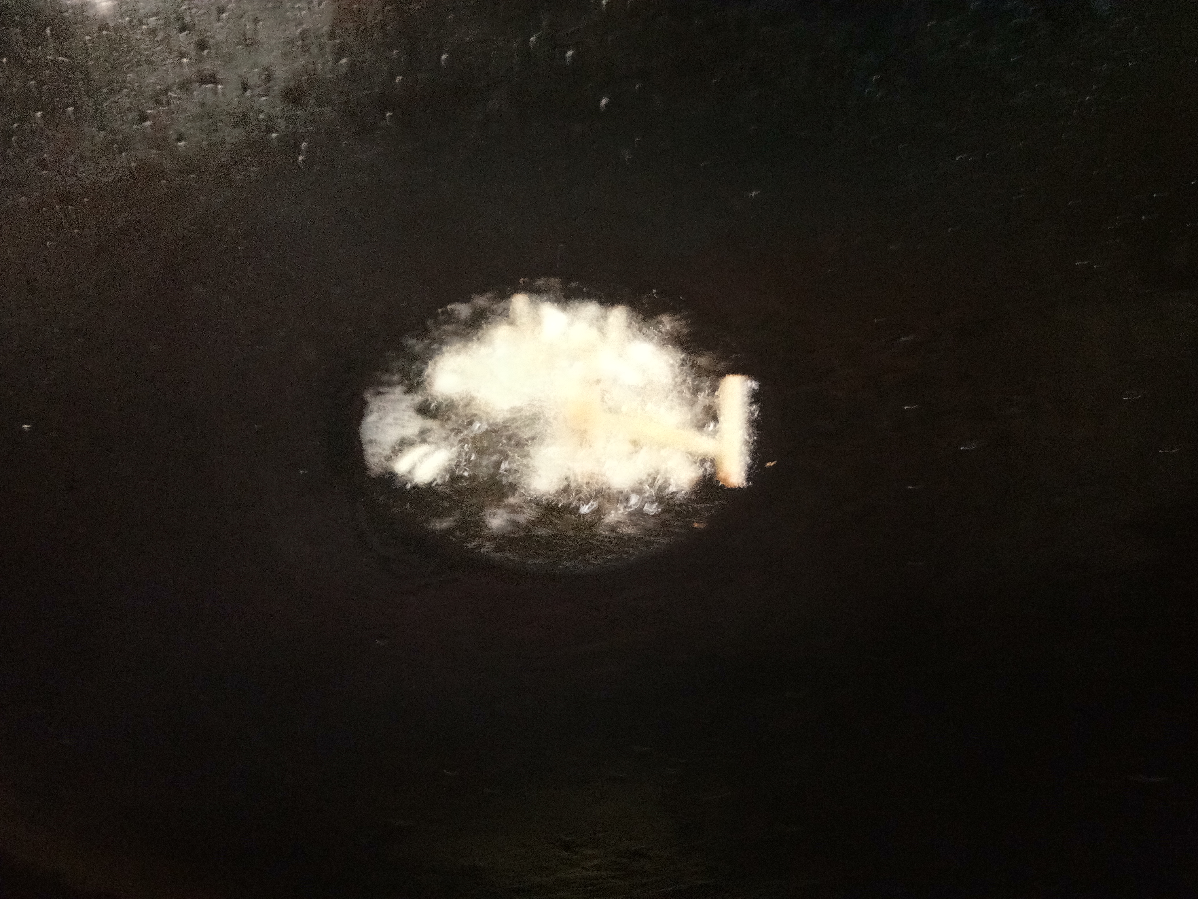 毛豆炒肉丁步骤6