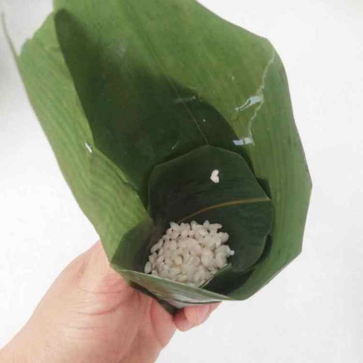 鲜肉白粽子步骤8