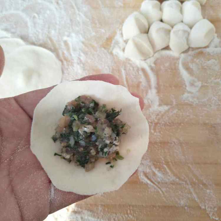 荠菜鲜肉锅贴步骤8