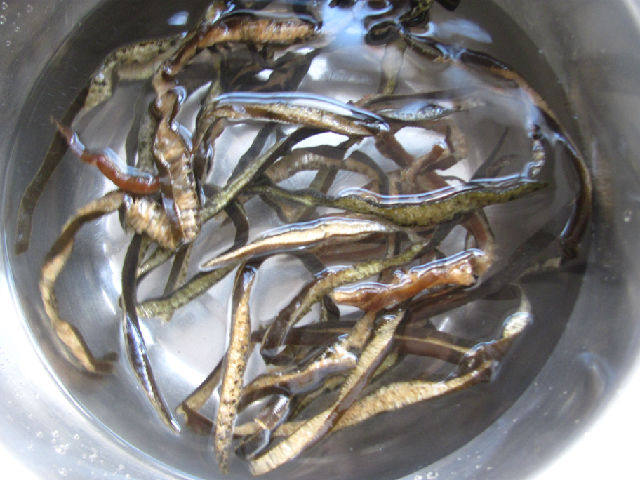 爆炒海茸步骤1