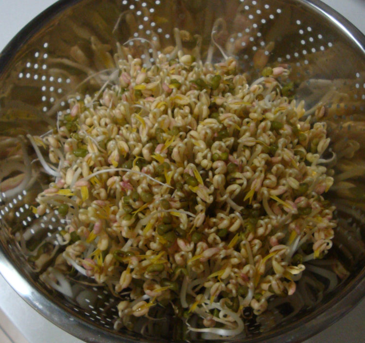 肉丝炒绿豆芽步骤1