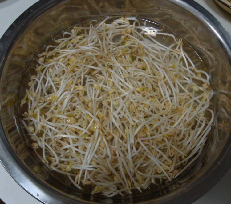 肉丝炒绿豆芽步骤2