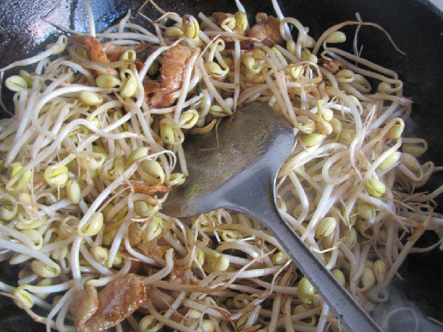 砂锅豆芽步骤4