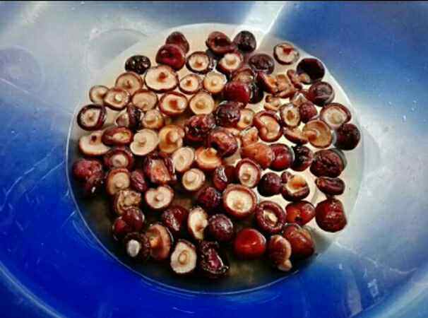 秋叶饺子步骤3