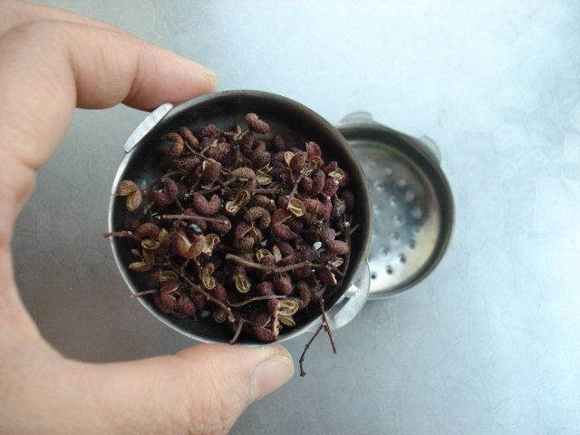 黄芪羊肉汤步骤4