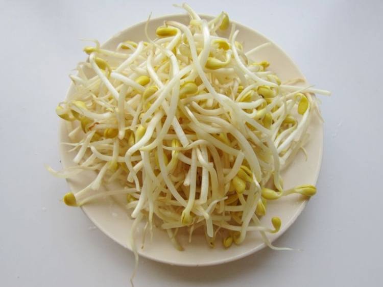 胡萝卜黄豆芽炒肉步骤3