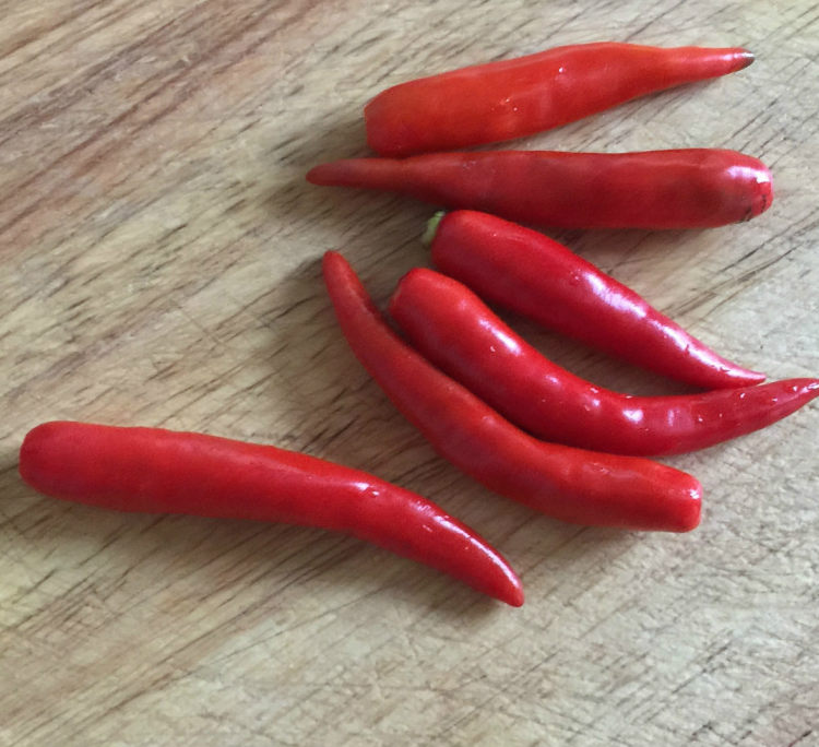 酸菜粉条肉步骤4