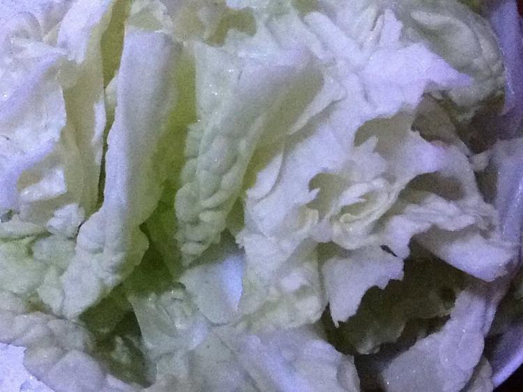 水煮羊肉步骤9