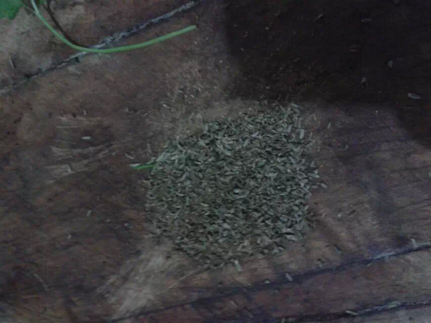 炒羊肉步骤10