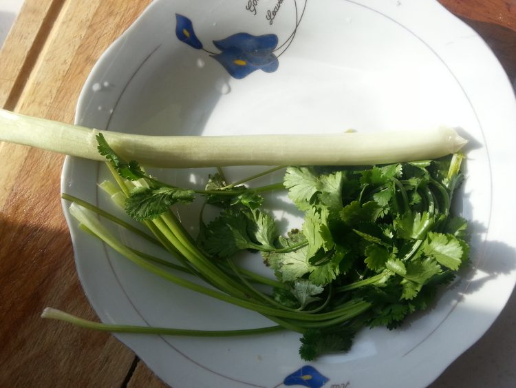 韭黄羊肉饺子步骤2