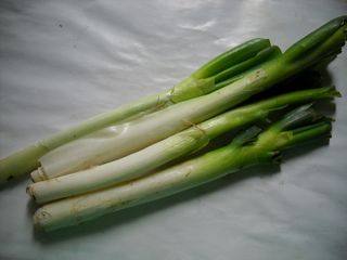 大葱羊肉锅贴饺子步骤2