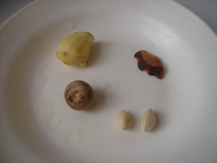 清焖羊肉步骤3