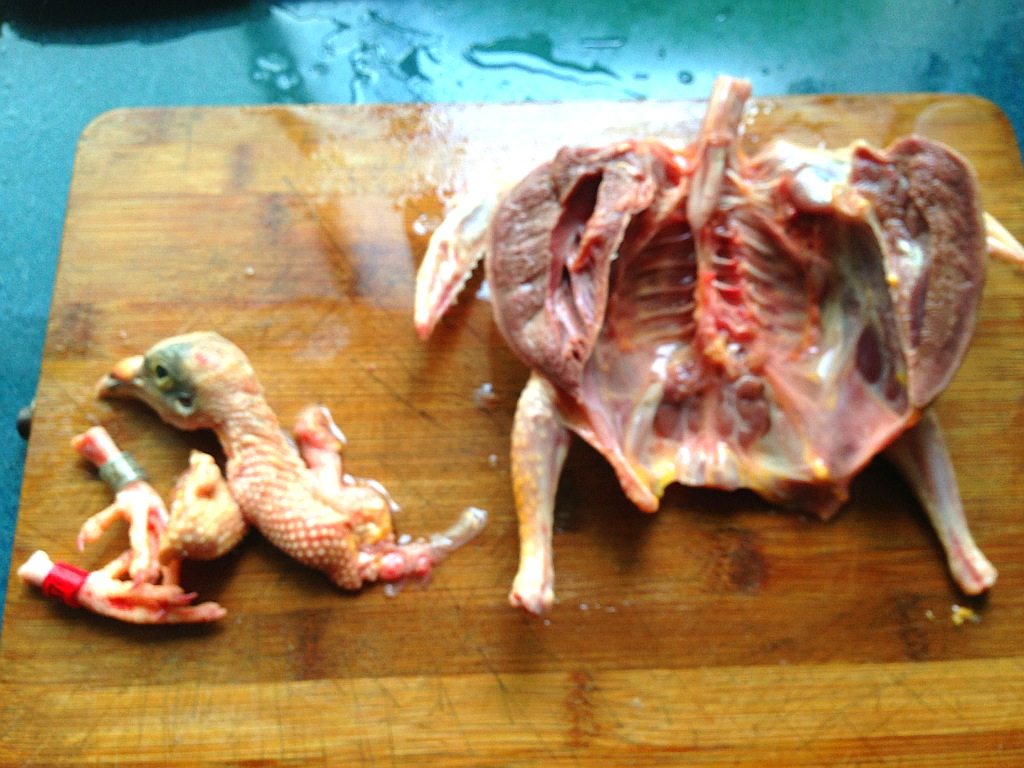 羊肉炖鸽子步骤3