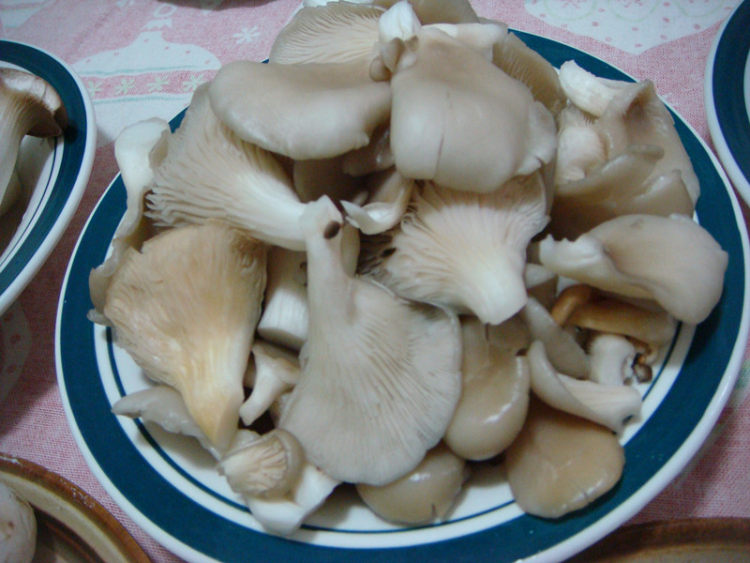 七鲜菇大战虾兵蟹将火步骤5
