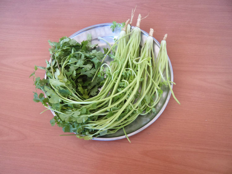 芫爆牛肉丝#本味家乡步骤5