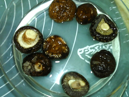 香辣香菇牛肉酱步骤2