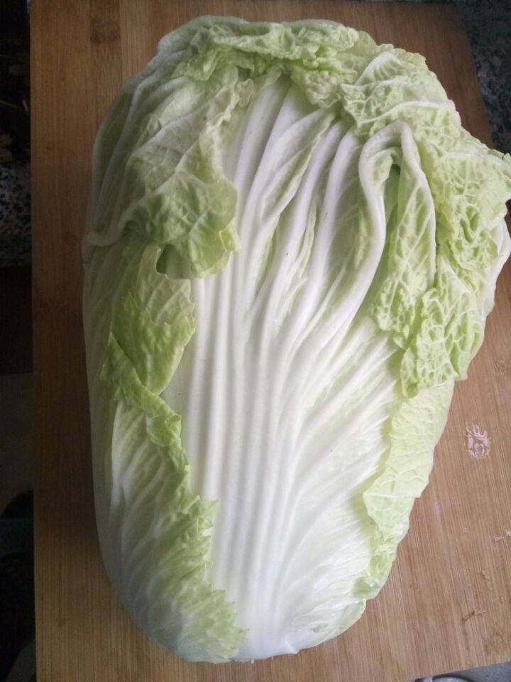 白菜粉丝烧牛肉步骤1