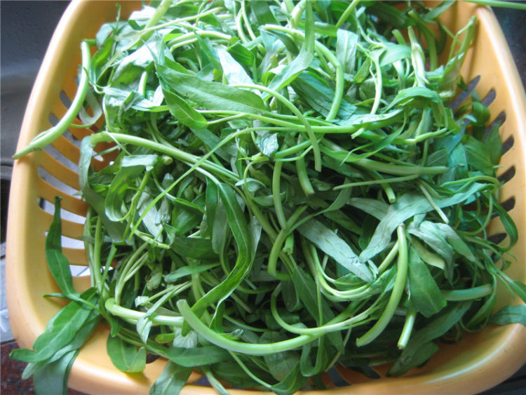 牛肉炒空心菜步骤1