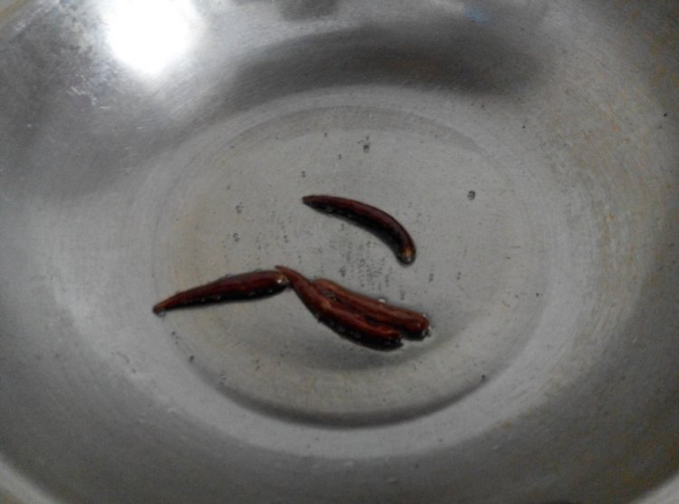 香辣土豆烧牛肉步骤6