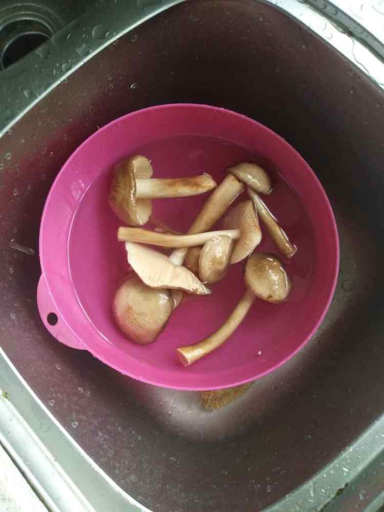 长脚菇炖排骨步骤1