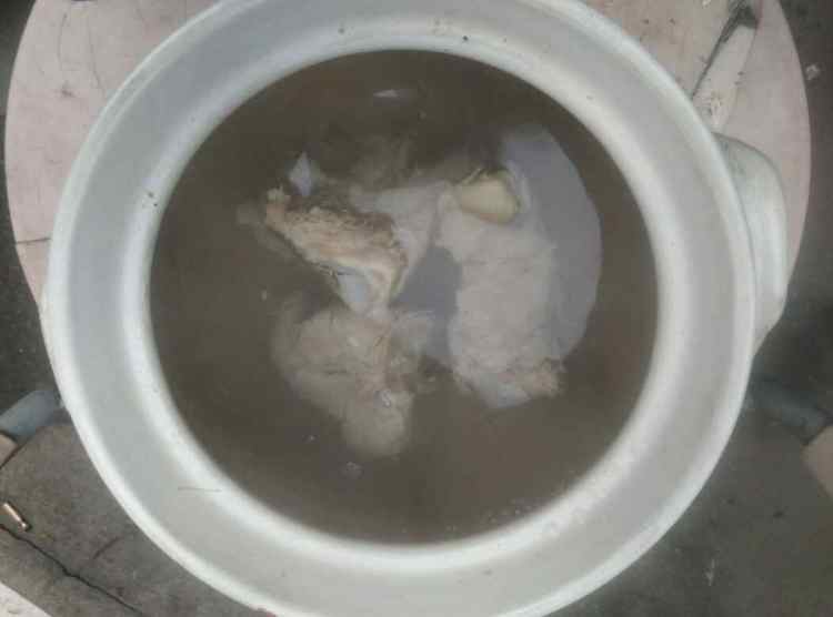 排骨玉米毛豆汤步骤5