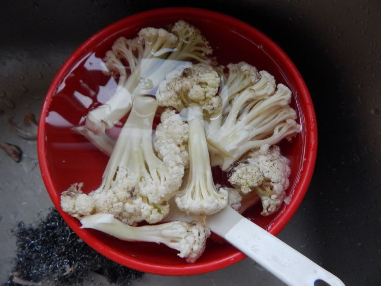 花菜烧排骨步骤8