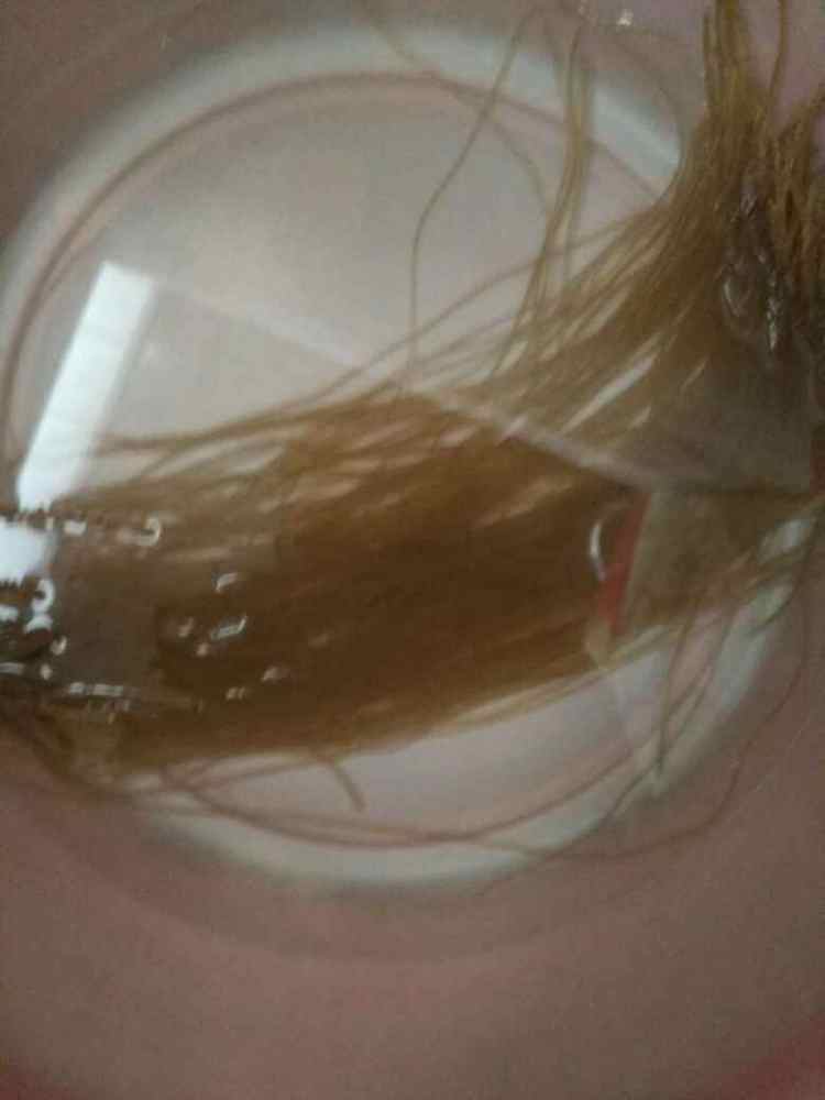 白菜粉丝炖排骨步骤3