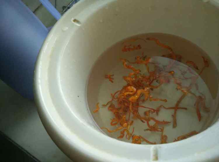 虫草花排骨莲藕汤步骤3