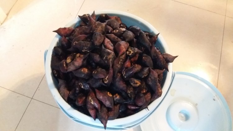 菱角炖排骨步骤1